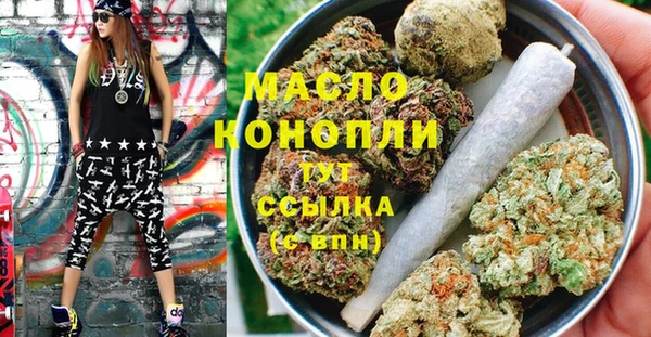 молекула духа Карпинск