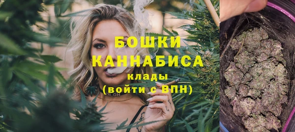 молекула духа Карпинск