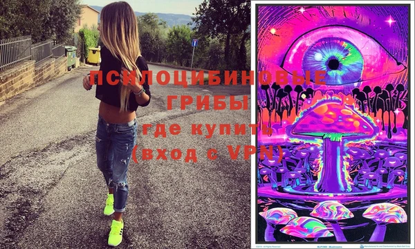 spice Касимов