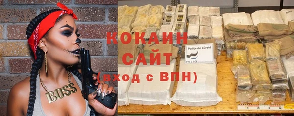 молекула духа Карпинск