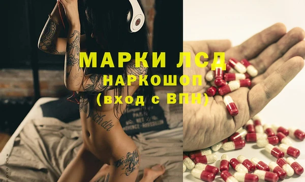 spice Касимов