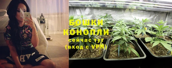 молекула духа Карпинск