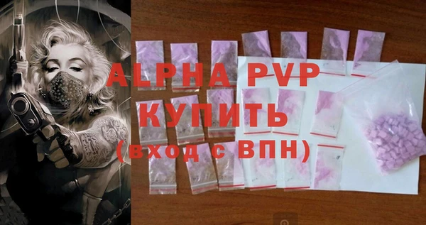 индика Кинешма