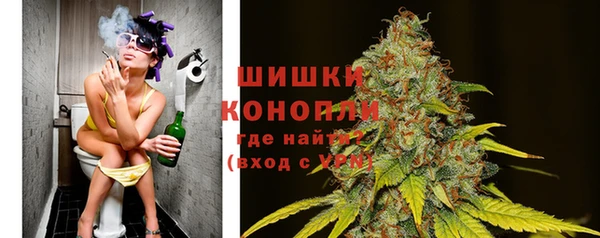 spice Касимов