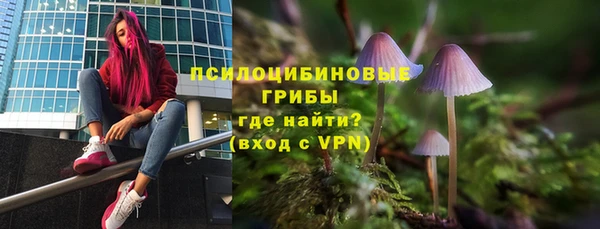 индика Кинешма