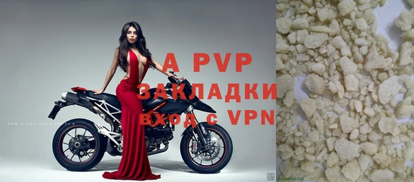 молекула духа Карпинск